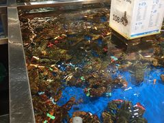 -盒马鲜生(首义店)