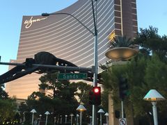 -拉斯维加斯永利酒店