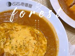 -CoCo壱番屋