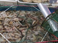 -盒马鲜生(首义店)