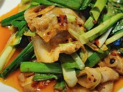 大刀回锅肉-向川南·水煮鱼·川菜(和平里店)