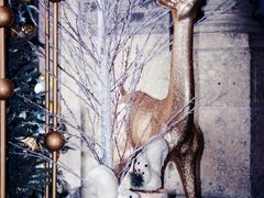 -Patek Philippe百达翡丽(上海源邸店)