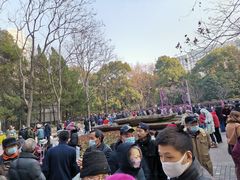 -人民公园-相亲角