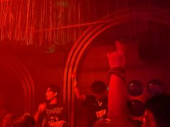 -Darling Queen·Mini·Live·House