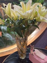 -花隐·美芙炫海菲秀皮肤管理中心