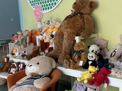 -成都泰迪熊博物馆