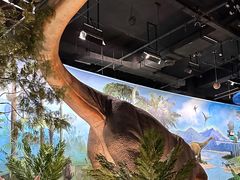 -陕西自然博物馆