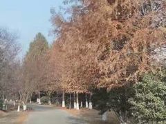 -南湖湿地公园