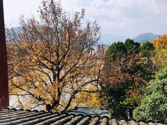 -溪口-滕头旅游景区