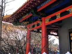 -哈尔滨极乐寺