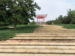 -大望京公园