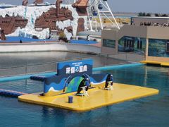 -秦皇岛乐岛海洋王国