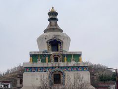 -塔尔寺-菩提树