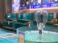 -梦都海鲜酒家(万达广场江桥店)