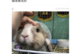 -雨林宠物医院·异宠专科(浦东分院)