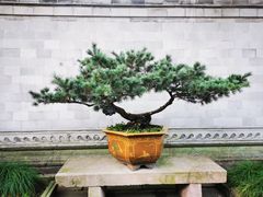 -天一阁博物院