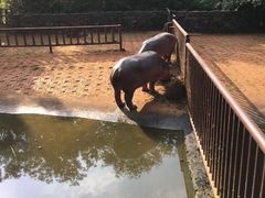 -海南热带野生动植物园