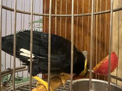 -杭州香格里拉·香宫中餐厅
