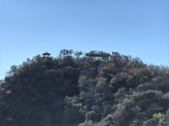 -大岭沟猕猴桃谷风景区