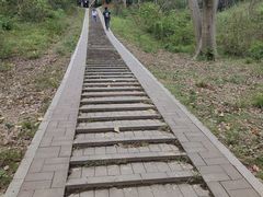 -青龙山国家森林公园