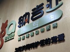 -纳吉亚猫专科动物医院博雅分院
