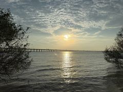 -宝安西湾红树林湿地公园