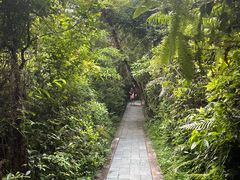 -梧桐山风景名胜区