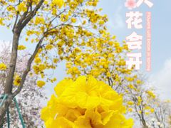 -洲头咀公园