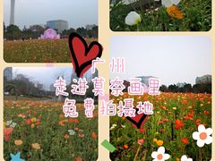 -二沙岛艺术公园