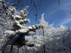 -崂山巨峰游览区