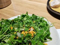 三叶香拌海胆-胆食海胆水饺(总店)