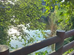 -黄陂区野村谷景区