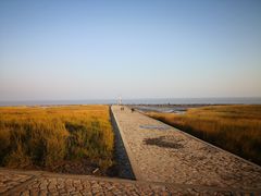 -南汇嘴观海公园