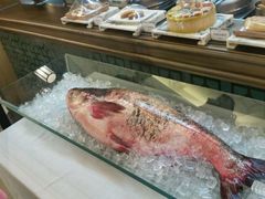 -旺顺阁鱼头泡饼(常营店)
