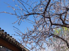 -三里河公园
