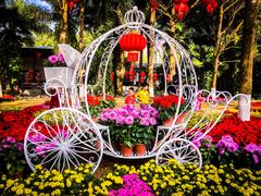 -广东茂名森林公园