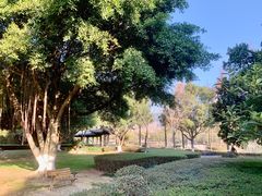 -河泥荡文化公园
