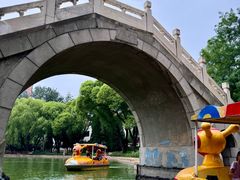 -团结湖公园