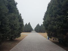 -秦始皇帝陵博物院-丽山园