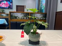 -懂羊帝·羊蝎子·北京菜(小关店)