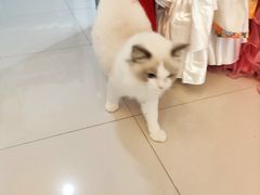 -猫遇摄影工作室