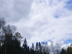 -汤旺河林海奇石景区