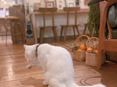 -懒鱼时光馆(沙坪坝店)