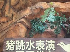 -长鹿旅游休博园