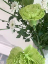 -HEYAN长风荷妍专业脱毛美肤
