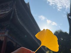 -章华寺
