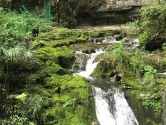 -鹿院坪生态旅游景区