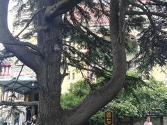 -青岛德国总督楼旧址博物馆