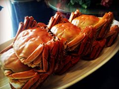 -新光酒家·河豚·海鲜·蟹料理(浦东店)