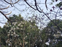 -乌山风景区